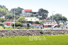 마을 입구 지키는 250년 팽나무… 편리한 교통 찾아 들어온 외지인 절반