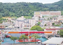봄이면 온 동네에 살구나무 꽃피고, 겨울이면 못에서 스케이트 타고 놀고