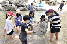 대청계곡에 이렇게 생물 많은 줄 몰랐어요