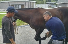목장, 승마장 순회하며 선진 장제기술 보급해요