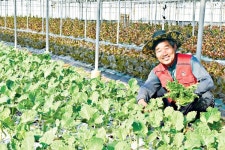 친환경농사 어렵다고… 안전한 먹거리 연구·개발로 판로 개척