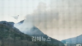 김해 삼계동 인근 대형산불 발생, 발 빠른 대처로 초기 진화