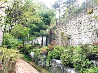 김해 도심에 고라니·멧돼지 출몰 이유는?
