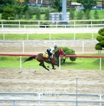 힘겨운 만큼 보람있는 행복한 직업입니다