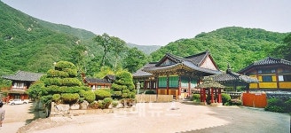 내원사 입장료 무료화, 양산시민 서명운동