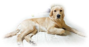 뚜띠 덕분에 점포 매출도 쑥쑥