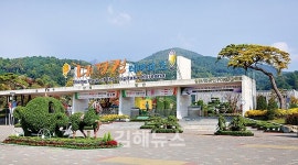 합천 대장경테마파크, 백팔만송이 국화 전시회 개최