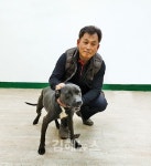 김희석 씨 핏불테리어 마초적 매력에 반해