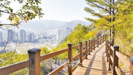 김해시, 내덕동 용두산에 240m 길이 전망 데크로드 설치