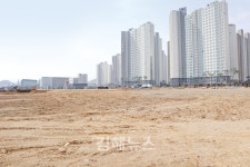유통공룡 코스트코, 주촌 선천지구 입점 가시화