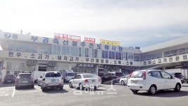 톡톡 튀는 특화거리로 지역경제 살린다