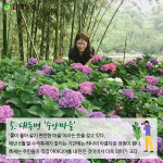 따뜻한 봄날 슬로시티 김해서 느림의 미학 즐겨요