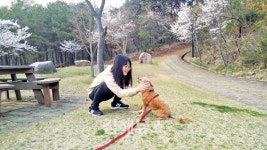 김명숙 씨 아픔 가진 밍키, 사랑으로 보살펴요