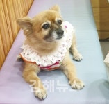 황순옥 씨 우리 강아지는 동상동 인기스타