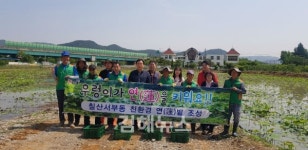 칠산서부동의 작은 명소 김해 풍유동 친환경 연밭 체험행사
