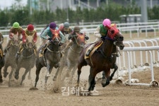 한국마사회 렛츠런파크 부산경남, 10월 경마시행계획 발표