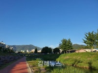 김해 대청천 산책 주민 10여 명 벌 쏘임 사고