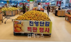 김해시, 전국 홈플러스서 진영단감 판촉행사
