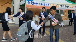 김해 농협 단감 먹고 수능 감 잡으세요~