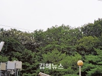 천덕꾸러기 백로, 김해시 명물 될 수 없을까?