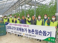 농협 김해시지부, 코로나19 어려움 겪는 농가 수확 일손 도움