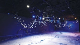 문화예술·스포츠·관광 시설 개장 잇따라