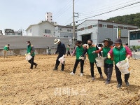 칠산서부동행정복지센터, 화목2통 유휴지에 해바라기 꽃밭 조성