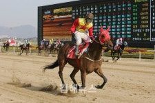 부산경남 경마공원의 탑골 스타馬는?