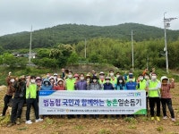 김해 도요마을 일대 감자수확 일손돕기 
