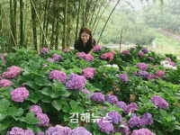 김해 생림·상동·대동면 주거 환경 확 바뀐다