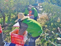 경남도자원봉사센터, LH와 희망나눔 사과 전달