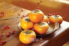 김해의 자랑 진영단감, 인기 비결은?