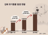 김해 유기동물 해마다 증가…대책 필요