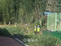 김해교육지청, 진영제일고 대나무 전정 활동 펼쳐
