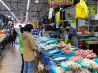 창원시티투어버스 타고 4월의 봄 즐겨요!