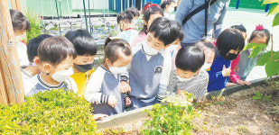 김해유치원, 생태 체험교육 실시