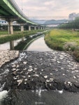 창원시, 호계리 지역 불명수 차단 총력