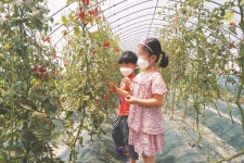 [함께 하는 마을 한 바퀴] ⑥ 창원시 대산면 빗돌배기마을 / 햇살이 토닥토닥, 자연의 응원과 위로가 있는 곳