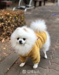 김해시, 반려동물 등록비 지원사업 추진