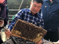 김해시, 양봉농가에 꿀벌 먹이 지원…농가당 최대 80만원