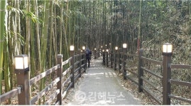 김해시, 대청도시숲에 보안등 설치...야간 산책도 좋아요