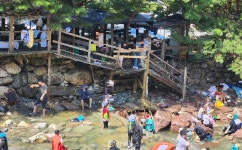 나무 버팀목 위 위태로운 식사…장유 대청계곡 음식점 불법행위 심각