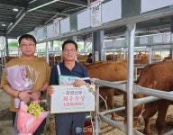 한림면 최경곤씨, 경남한우경진대회 최우수상 수상