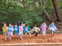 숲에서 배워요…김해시, 2024년 유아숲반 참여기관 공개 모집