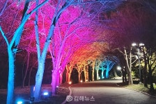 [포토] 형형색색 야간 조명 밝힌 삼계근린공원