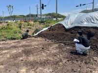 김해시, 낙동강 녹조 방지 선제 대응… 7월까지 야적 퇴비 특별 점검