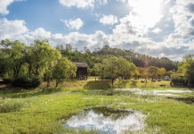 유유자적 가을 산책...김해의 걷고 싶은 길 6선