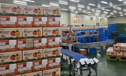 진영단감, 농수산물 온라인도매시장 특화상품 선정