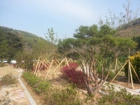 사천시, 건강한 녹색도시 추진