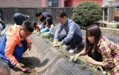 고성 상리초， 전교생 텃밭 가꾸기 행사